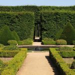 Diseño jardines Madrid Jardinea - Estos son los cinco tipo de setos de mayor altura