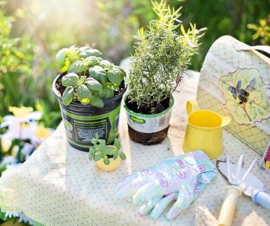 Diseño jardines Madrid Jardinea - arreglar el jardin para el buen tiempo