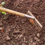 Diseño jardines Madrid Jardinea - arreglar el jardin para el buen tiempo