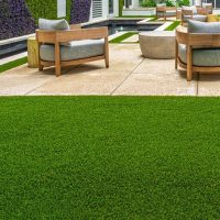 Guía completa de jardinería de verano en Madrid