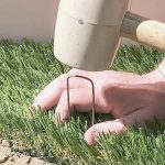 Guía completa de jardinería de verano en Madrid