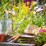 Guía completa de jardinería de verano en Madrid