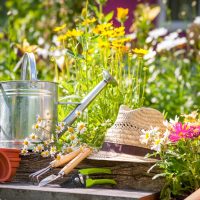 Guía completa de jardinería de verano en Madrid