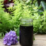 Haz un fertilizante orgánico simple para tener unas plantas de interior saludables