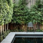 Ideas que te ayudarán a crear un jardín urbano perfecto. Diseño de jardines en Madrid Jardinea