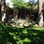 Jardinea. Paisajismo y Mantenimiento de Jardines Madrid