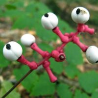 Jardineros en Madrid Jardinea. Ideas naturales para decorar tu jardin en Halloween
