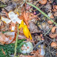 Jardineros profesionales madrid - Compost casero Consejos para mejorar el suelo 2de tu jardín (1)