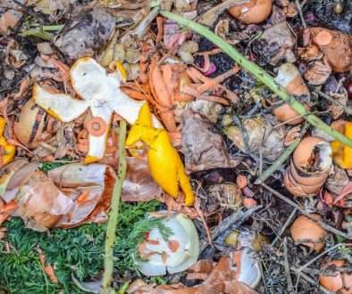 Jardineros profesionales madrid - Compost casero Consejos para mejorar el suelo 2de tu jardín (1)
