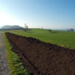Jardineros profesionales madrid - Compost preparado para abonar cesped (1)