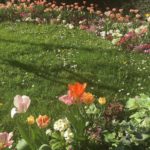 Jardines de aspecto natural. Jardineros de madrid