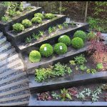 Jardines en terrenos con mucha pendiente Diseño de jardin y paisajismo en Alcobandas Moraleja 00