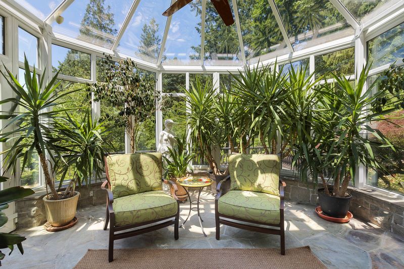 Las plantas perfectas para tu Solarium en casa. Jardinea diseño de jardines Madrid