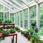 Las plantas perfectas para tu Solarium en casa. Jardinea diseño de jardines Madrid