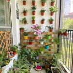 Las plantas perfectas para tu Solarium en casa. Jardinea diseño de jardines Madrid