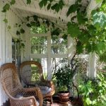 Las plantas perfectas para tu Solarium en casa. Jardinea diseño de jardines Madrid