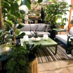 Los 5 consejos a aplicar en pequeños jardines urbanos