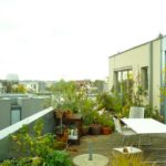 Los 5 consejos a aplicar en pequeños jardines urbanos