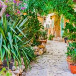 Los 6 tipos de jardín que serán tendencia en 2021 (