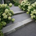 Los 10 consejos que conseguirán tu jardín de ensueño