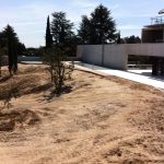 Mantenimiento de Proyecto de Jardinería. Unifamiliar en La Moraleja. Madrid