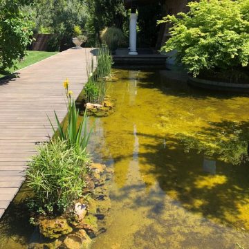 Mantenimiento de Proyecto de Jardinería. Urbanización Mirasierra en Madrid