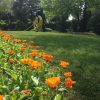 Mantenimiento de jardin en Alcobendas- Obras-Mantenimiento-jardines-Madrid-Jardinea