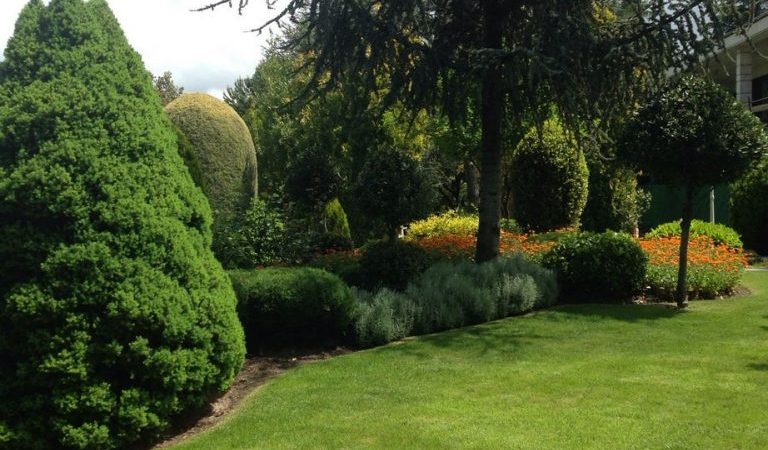 Mantenimiento de jardin en Alcobendas- Obras-Mantenimiento-jardines-Madrid-Jardinea 1 2