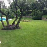 Mantenimiento de jardin en Alcobendas- Obras-Mantenimiento-jardines-Madrid-Jardinea