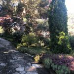 Mantenimiento de jardin en Becerril Sierra-Obras-Mantenimiento-jardines-Madrid-Jardinea