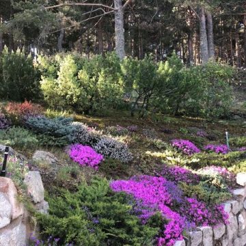 Mantenimiento de jardin en Becerril Sierra-Obras-Mantenimiento-jardines-Madrid-Jardinea