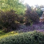 Mantenimiento de jardin en Becerril Sierra-Obras-Mantenimiento-jardines-Madrid-Jardinea