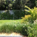 Mantenimiento de jardín para vivienda privada en La Moraleja de Madrid Jardin Natural
