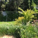 Mantenimiento de jardín para vivienda privada en La Moraleja de Madrid Jardin Natural