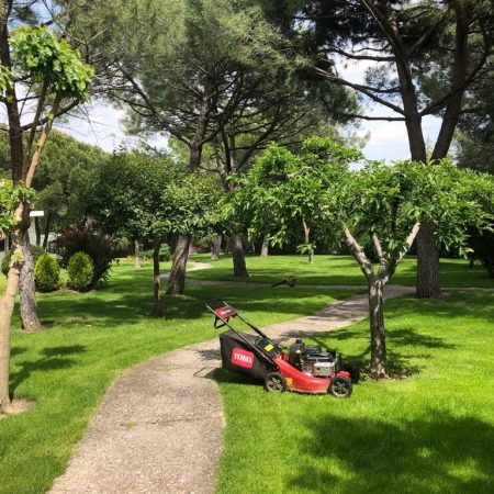 Mantenimiento para Proyecto de Jardineria para unifamiliar alcobendas 1 Amplia parcela (3)