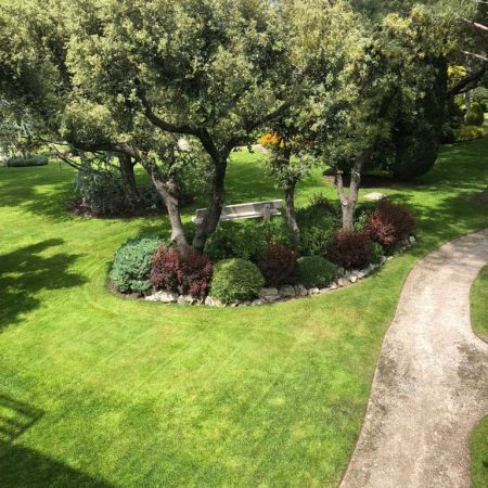 Mantenimiento para Proyecto de Jardineria para unifamiliar alcobendas 1 arboles en macizo)