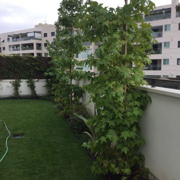 Paisajismo y Obra de jardineria en Alcobendas. 