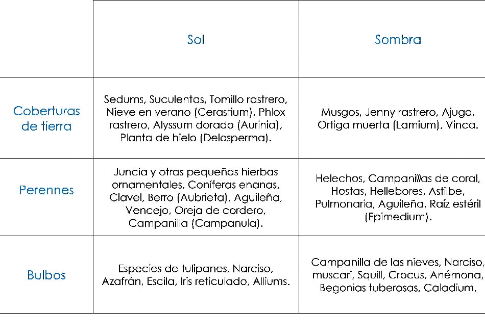 Como diseñar un jardin de rocas. Parte 4