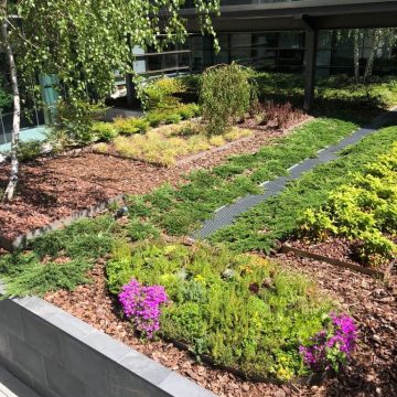 Proyecto de Jardinería para Centro empresarial de Oficinas en Alcobendas (5)