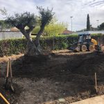 Proyecto de Paisajismo y jardinería Chalet Urbanización Santo Domingo Alcobendas Molareja 0