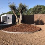 Proyecto de Paisajismo y jardinería Chalet Urbanización Santo Domingo Alcobendas Molareja 0