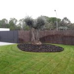 Proyecto de Paisajismo y jardinería Chalet Urbanización Santo Domingo Alcobendas Molareja 0