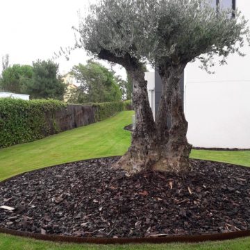 Proyecto de Paisajismo y jardinería Chalet Urbanización Santo Domingo Alcobendas Molareja 0