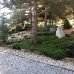 Proyecto de Paisajismo y jardinería para Chalet de Collado Mediano Camino