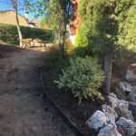 Proyecto de jardineria y paisajismo para chalet Madrid. Encinar de los Reyes Antes Hacia entrada 2