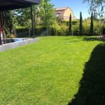 Proyecto de jardineria y paisajismo para chalet Madrid. Encinar de los Reyes despues cesped 2