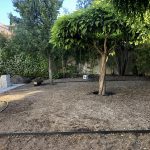 Proyecto de jardineria. Jardineros en el Encinar de los Reyes (Madrid)