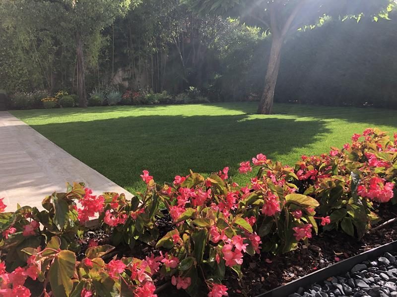 Proyecto de jardineria. Jardineros en el Encinar de los Reyes (Madrid)