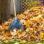Que hacer con las hojas caidas en otoño jardineros profesionales en madrid. Monton de hojas