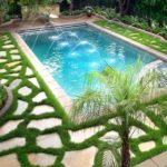 Que puedo plantar en mi jardin con piscina Jardinea Jardineros de Madrid La moraleja Majadahonda